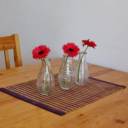 Apartment Vala Bibinje